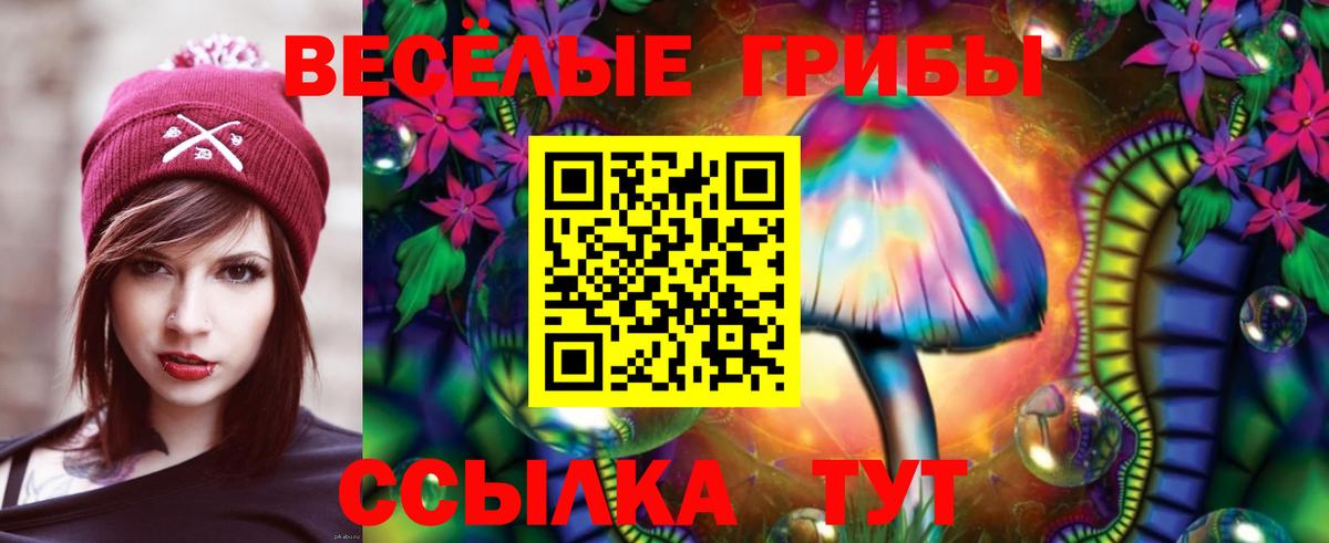 Псилоцибиновые грибы Psilocybine cubensis Нижневартовск