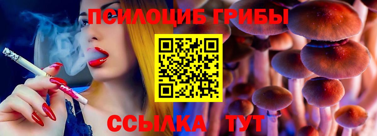 купить наркотик  Вход с VPN  Нижневартовск  Галлюциногенные грибы GOLDEN TEACHER  Галлюциногенные грибы прущие грибы 